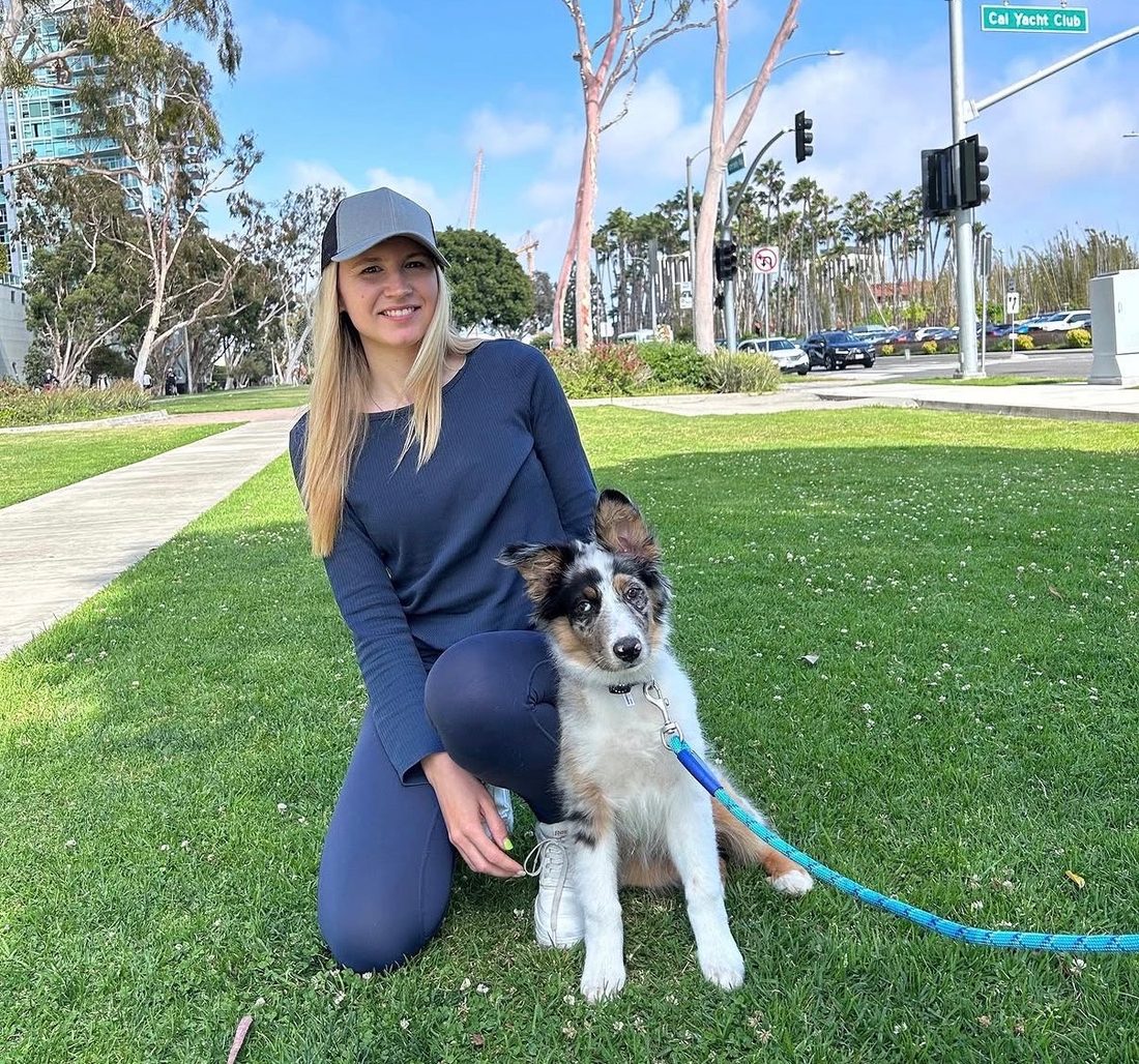 Australian Shepherd puppy on a park outing with Mila Hotel