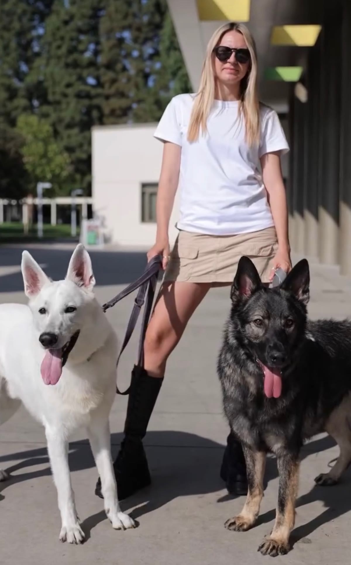 Two Shepherd guests out for a walk with Mila Hotel