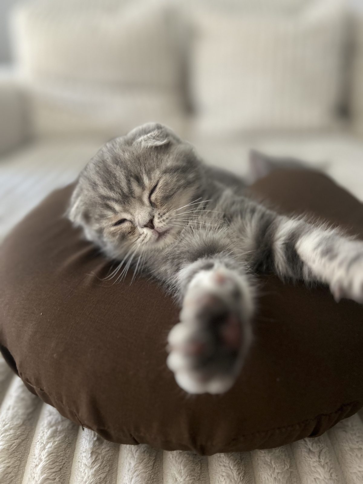 Happy guest lounging at Mila Hotel