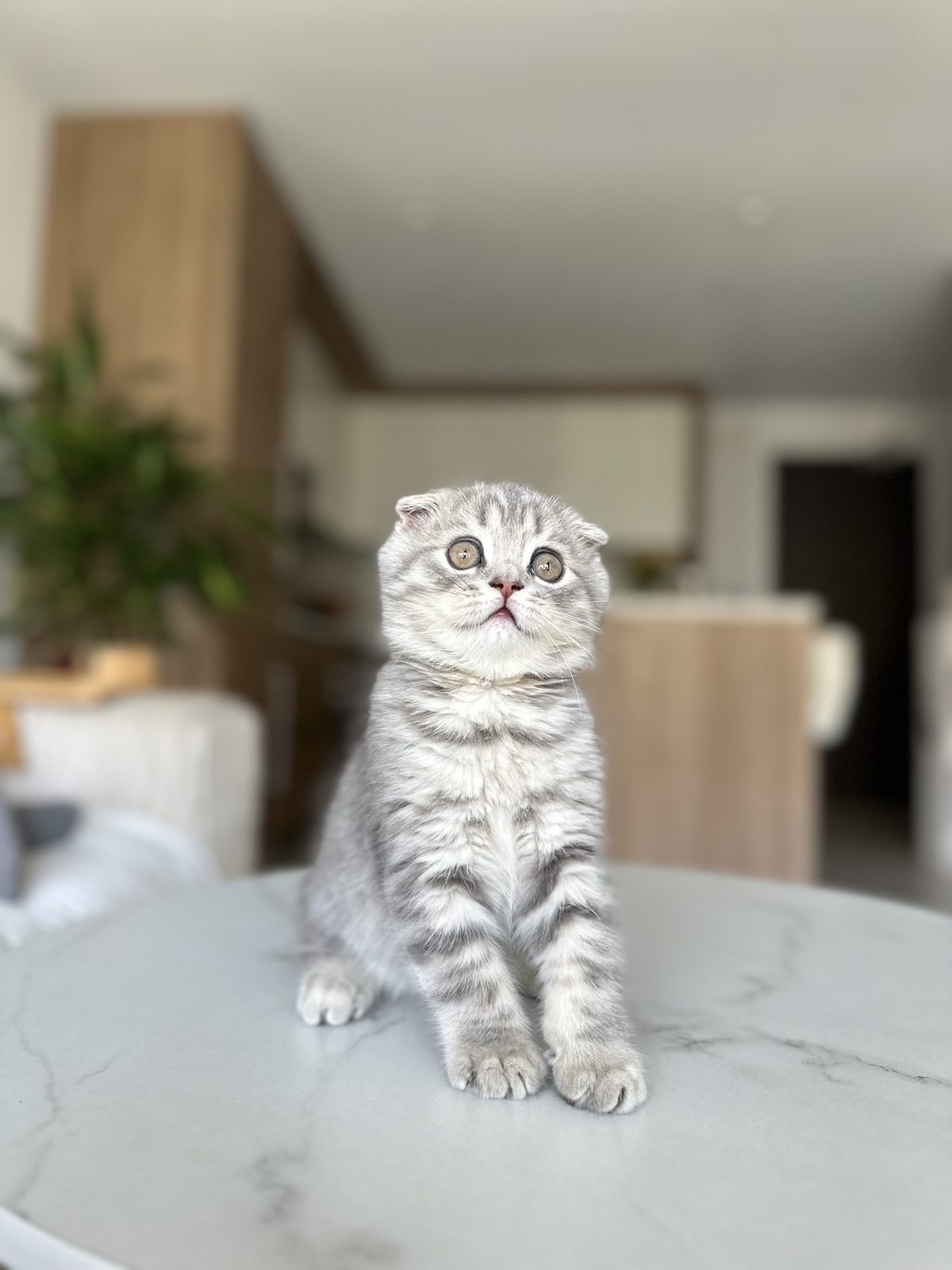 Content guest at Mila Hotel